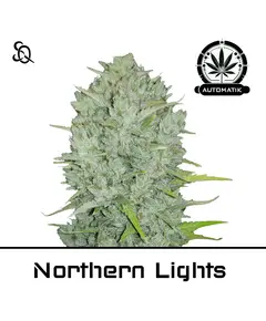 Product_Automatic Northern Lights__Cannadusa_Marketplace_Buy