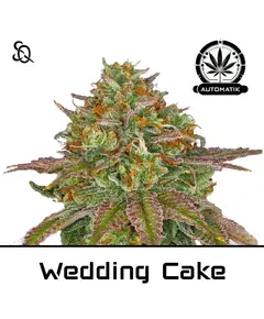 Product_Automatik Wedding Cake__Cannadusa_Marketplace_Buy