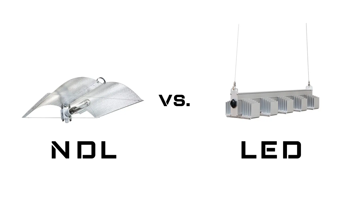 LED vs. NDL