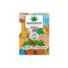 Product_Bunte Blüte Cannabis Samen Auto-Flowering, Sorte: AK47 x Blueberry_Cannadusa_Marketplace_Buy