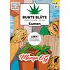 Product_Bunte Blüte Cannabis Samen Auto-Flowering_Cannadusa_Marketplace_Buy