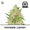 Product_Amnesia Lemon Regulär_Cannadusa_Marketplace_Buy