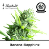Product_Banana Sapphire - Humboldt Seeds_Cannadusa_Marketplace_Buy