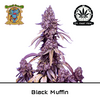 Product_Black Muffin F1 Fast - Sweet Seeds_Cannadusa_Marketplace_Buy