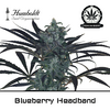 Product_Blueberry Headband - Humboldt Seeds_Cannadusa_Marketplace_Buy