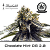 Product_Chocolate Mint OG 2.0 - Humboldt Seeds_Cannadusa_Marketplace_Buy