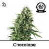 Product_Chocolope Early Version_Cannadusa_Marketplace_Buy