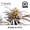 Product_Ghost of NYC - Humboldt Seeds_Cannadusa_Marketplace_Buy