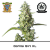 Product_Auto Gorilla Girl XL – Sweet Seeds_Cannadusa_Marketplace_Buy