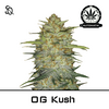Product_Automatik OG Kush_Cannadusa_Marketplace_Buy