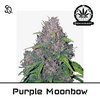 Product_Purple Moonbow_Cannadusa_Marketplace_Buy