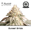 Product_Sunset Bride - Humboldt Seeds_Cannadusa_Marketplace_Buy