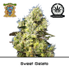 Product_Auto Sweet Gelato - Sweet Seeds_Cannadusa_Marketplace_Buy