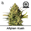 Product_Automatik Afghan Kush_Cannadusa_Marketplace_Buy