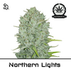 Product_Automatik Northern Lights_Cannadusa_Marketplace_Buy