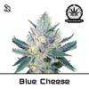 Product_Blue Cheese_Cannadusa_Marketplace_Buy