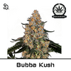 Product_Bubba Kush GWG_Cannadusa_Marketplace_Buy