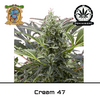 Product_Cream 47 - Sweet Seeds_Cannadusa_Marketplace_Buy