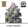 Product_Cream Caramel – Sweet Seeds_Cannadusa_Marketplace_Buy