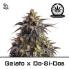 Product_Gelato x Do Si Dos_Cannadusa_Marketplace_Buy