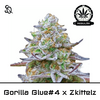 Product_GG#4 x Zkittlez Regulär_Cannadusa_Marketplace_Buy