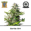 Product_Gorilla Girl - Sweet Seeds_Cannadusa_Marketplace_Buy