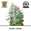 Product_Green Poison – Sweet Seeds_Cannadusa_Marketplace_Buy