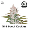 Product_Automatik Girl Scout Cookies_Cannadusa_Marketplace_Buy