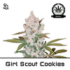 Product_Girl Scout Cookies Early Version_Cannadusa_Marketplace_Buy