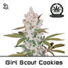 Product_Girl Scout Cookies_Cannadusa_Marketplace_Buy