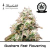 Product_Gushers Fast Flowering - Humboldt Seeds_Cannadusa_Marketplace_Buy