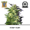 Product_Auto Killer Kush - Sweet Seeds_Cannadusa_Marketplace_Buy