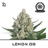 Product_LEMON OG_Cannadusa_Marketplace_Buy