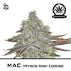 Product_MAC - Miracle Alien Cookies_Cannadusa_Marketplace_Buy