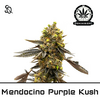 Product_Mendocino Purple Kush_Cannadusa_Marketplace_Buy