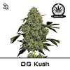 Product_OG Kush Regulär_Cannadusa_Marketplace_Buy