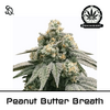 Product_Peanut Butter Breath_Cannadusa_Marketplace_Buy