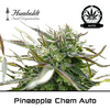 Product_Pineapple Chem Auto - Humboldt Seeds_Cannadusa_Marketplace_Buy