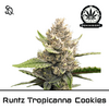 Product_Runtz Tropicanna Cookies_Cannadusa_Marketplace_Buy
