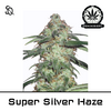 Product_Super Silver Haze_Cannadusa_Marketplace_Buy