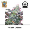 Product_Auto Sweet Cheese – Sweet Seeds_Cannadusa_Marketplace_Buy
