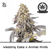 Product_Wedding Cake X Animal Mints_Cannadusa_Marketplace_Buy