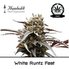 Product_White Runtz Fast Flowering - Humboldt Seeds_Cannadusa_Marketplace_Buy