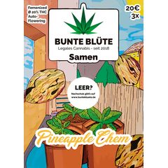 Product_Bunte Blüte Cannabis Samen Auto-Flowering_Cannadusa_Marketplace_Buy