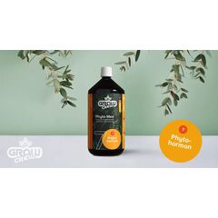Product_GrowCrew - Phyto Med (Phytohormon) | 1 Liter_Cannadusa_Marketplace_Buy