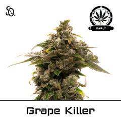 Product_Grape Killer Early Version_Cannadusa_Marketplace_Buy