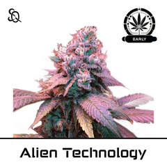 Product_Alien Technology Early Version_Cannadusa_Marketplace_Buy