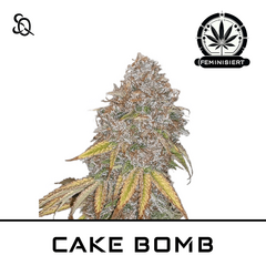 Product_CAKE BOMB_Cannadusa_Marketplace_Buy