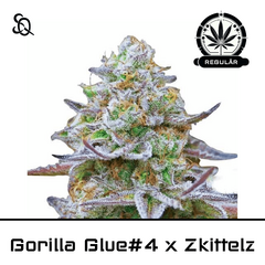 Product_GG#4 x Zkittlez Regulär_Cannadusa_Marketplace_Buy