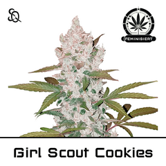 Product_Girl Scout Cookies_Cannadusa_Marketplace_Buy